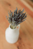 Lavender Bundle