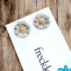 Two Toned Daisy Studs