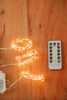 Fairy Lights With Remote