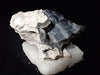 Agatized Coral – Fossilized Silica Beauty from Florida