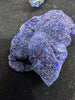 Azurite and Malachite mineral specimens