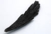 Black Kyanite Crystal – Natural Specimen from Brazil