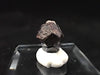 Black Pyrite with Quartz – Miniature Twinned Cluster (8g)