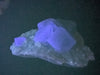 Blue Phantom Fluorite on Quartz 4.5 by 4.5 in 464g – Yaogangxian Mine (YGX) , China