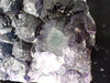 Botryoidal Blueberry Fluorite with Zoning – Huanggang Mine, Inner Mongolia 3 x 2 inches 202 grams