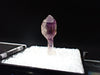 Deep Purple Amethyst Scepter with Analcime – Goboboseb Mountains, Namibia – Micro Specimen (19mm)