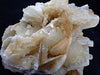 Golden Petal Calcite – Huanggang Mine, Inner Mongolia (208g)