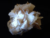 Golden Petal Calcite – Huanggang Mine, Inner Mongolia (208g)
