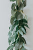 Eucalyptus + Deep Green Willow Garland (artificial)
