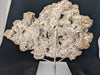 Premium Collectible: Rainbow Iridescent Pyrite Cluster from Daye, China