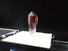 Red Phantom Quartz with Hematite Inclusions – High Clarity Crystal Specimen (19mm)