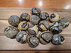 Septarian "Dragon Stone"  Palm Stones – Madagascar