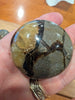 Septarian "Dragon Stone"  Palm Stones – Madagascar