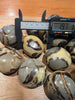 Septarian "Dragon Stone"  Palm Stones – Madagascar