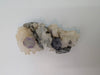 Shangbao Fluorite with Quartz – UV Reactive Collector’s Specimen
