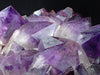 XL Amethyst Cluster with Phantom Zoning – Congo 23 lbs, 12.5" x 9"