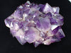 XL Amethyst Cluster with Phantom Zoning – Congo 23 lbs, 12.5" x 9"