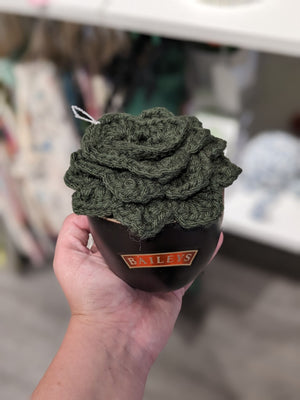 Crochet Succulent  - 1